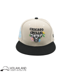 کلاه کپ فیت بک CHICAGO BULLS مشکی کد154 - Image 3